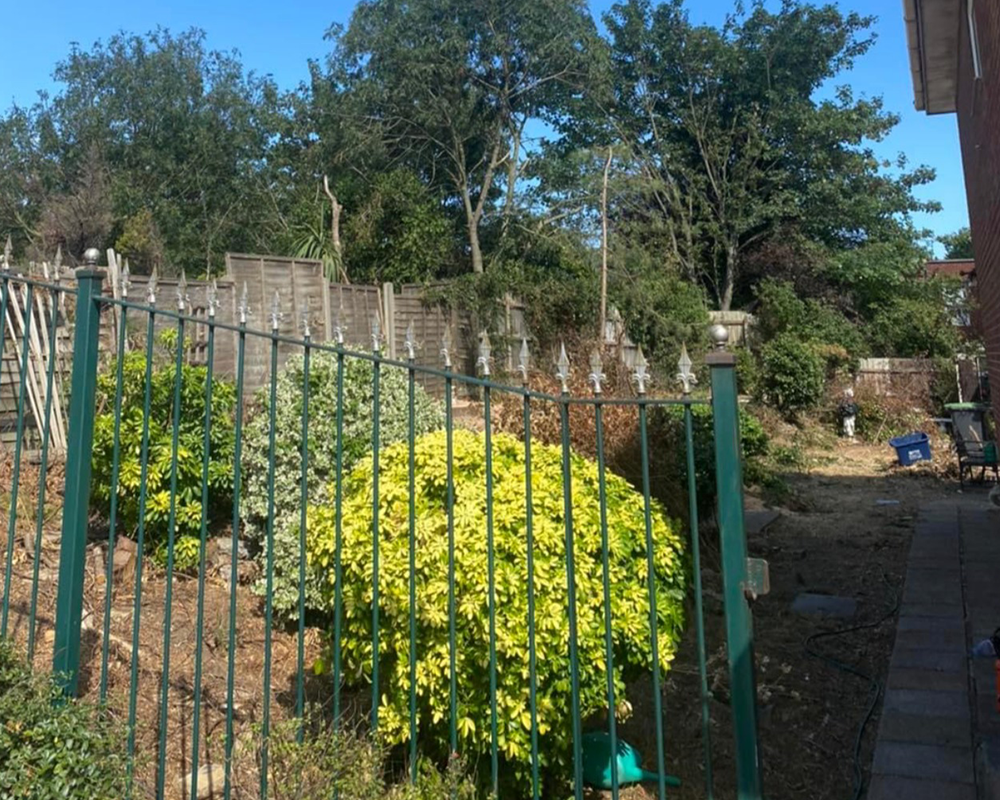 Mansons Tree Services Ltd