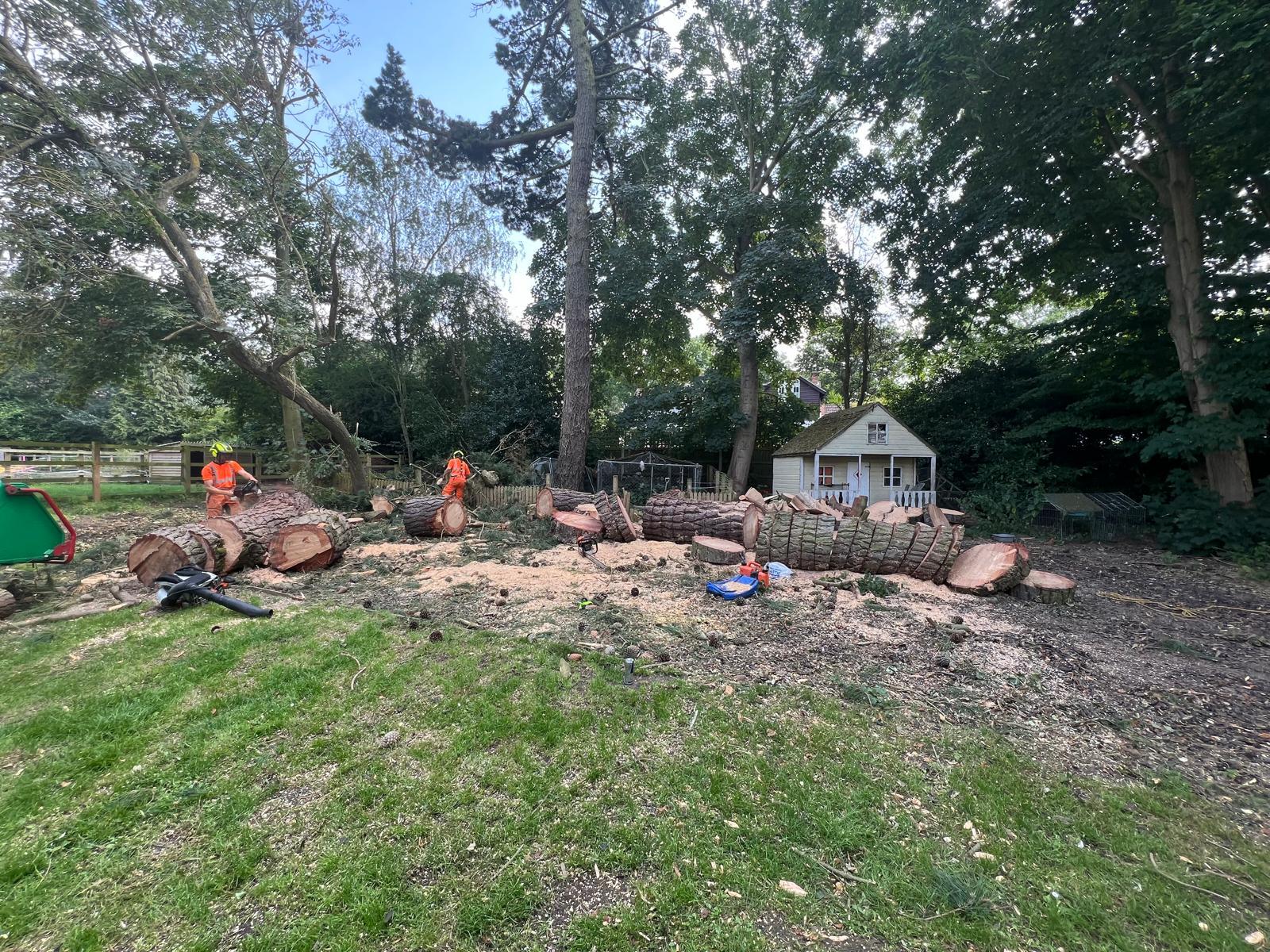 Mansons Tree Services Ltd
