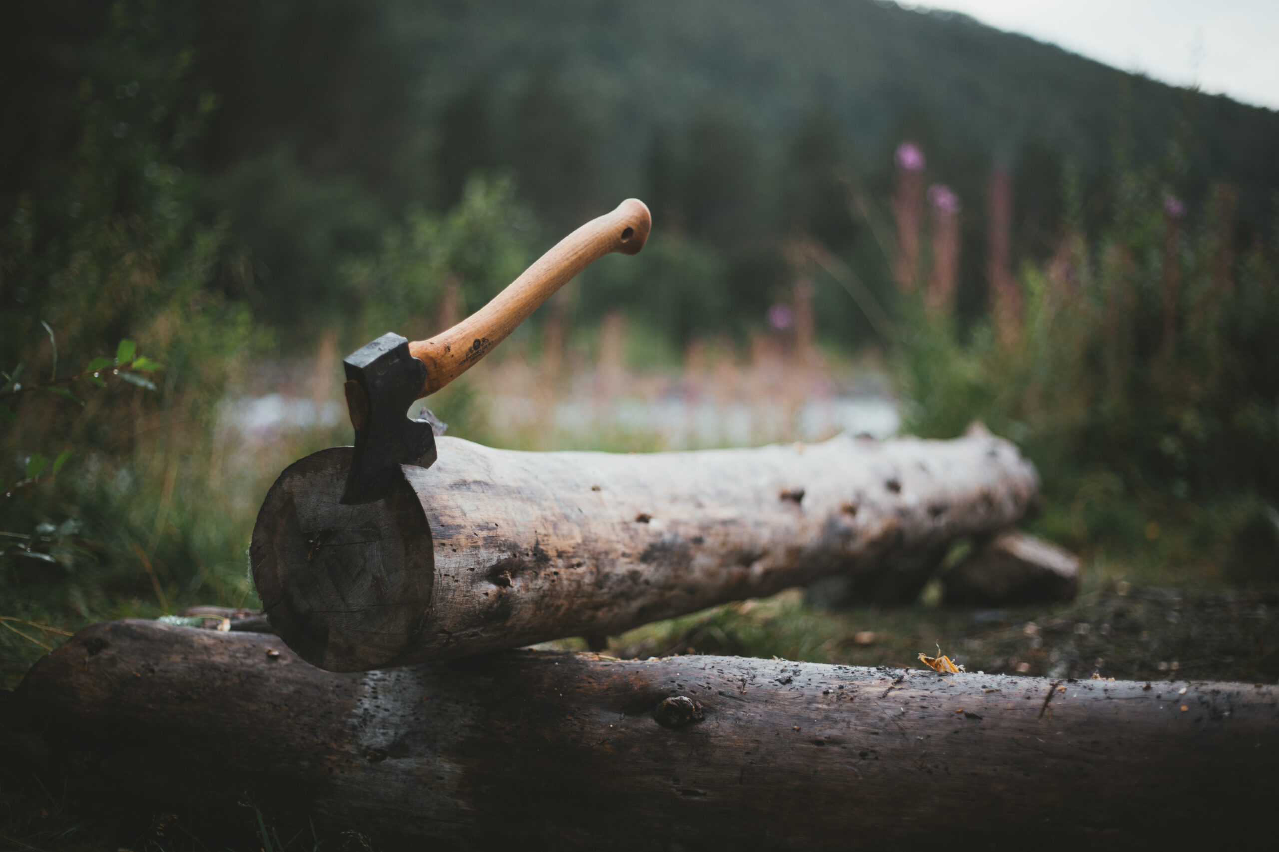 Mansons Tree Services Ltd