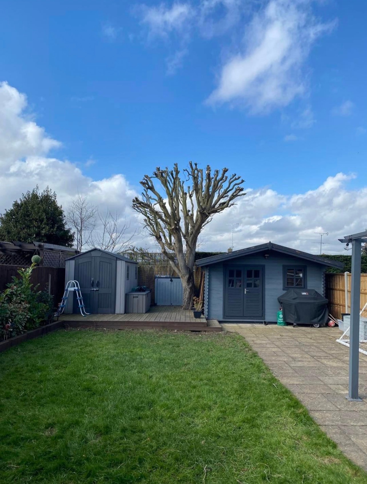 Mansons Tree Services Ltd