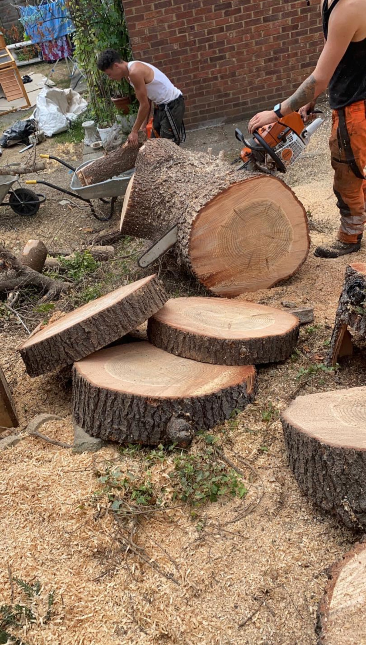 Mansons Tree Services Ltd