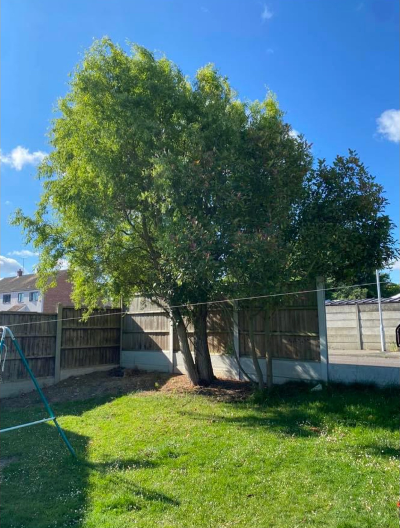 Mansons Tree Services Ltd