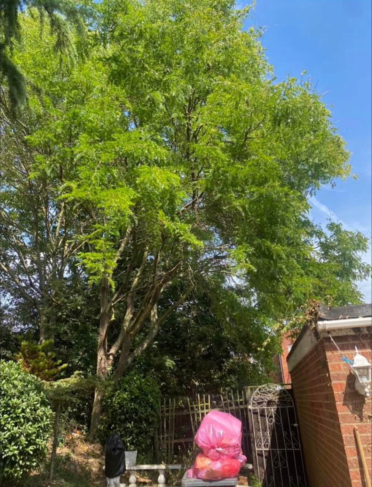 Mansons Tree Services Ltd