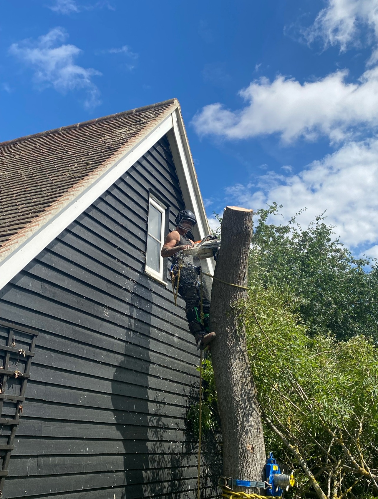 Mansons Tree Services Ltd