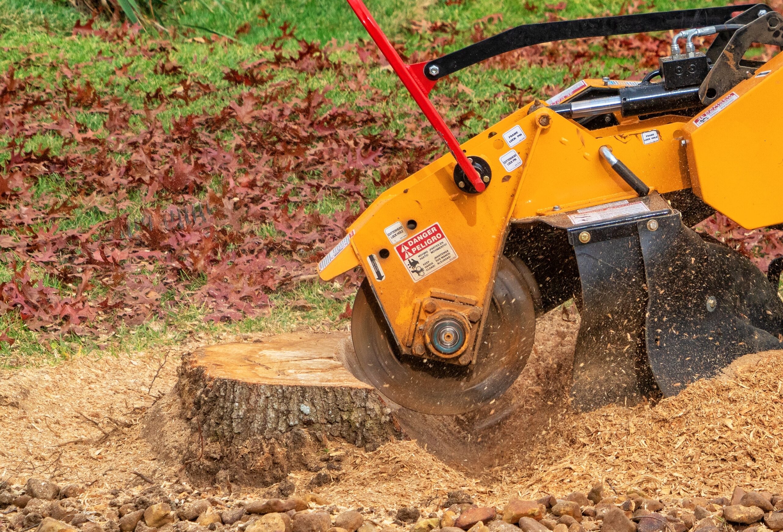 Mansons Tree Services Ltd