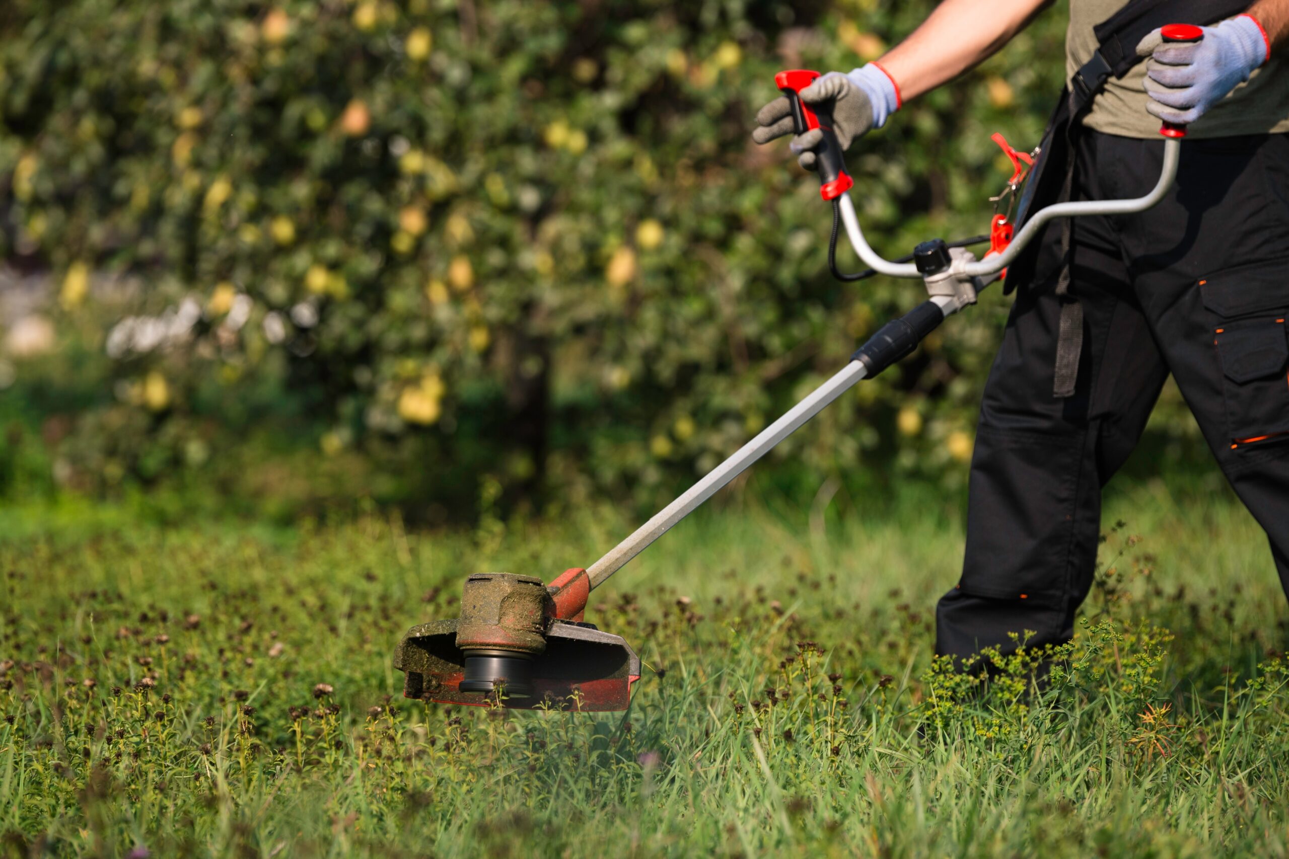 Mansons Tree Services Ltd