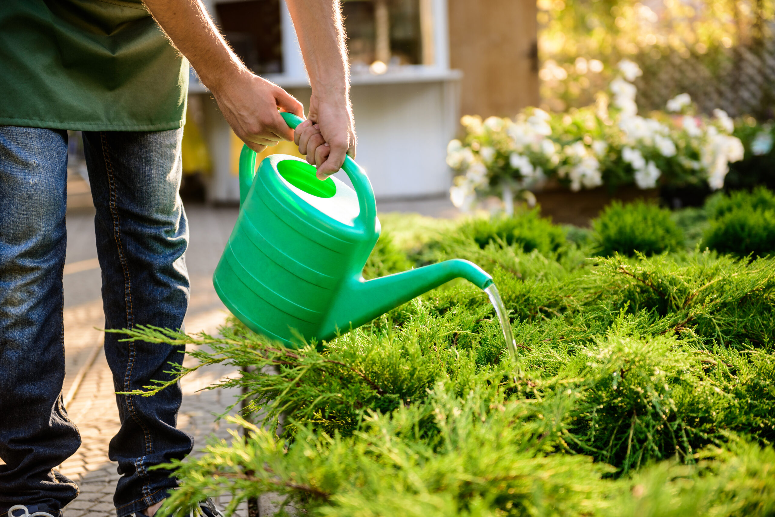 Mansons Tree Services Ltd