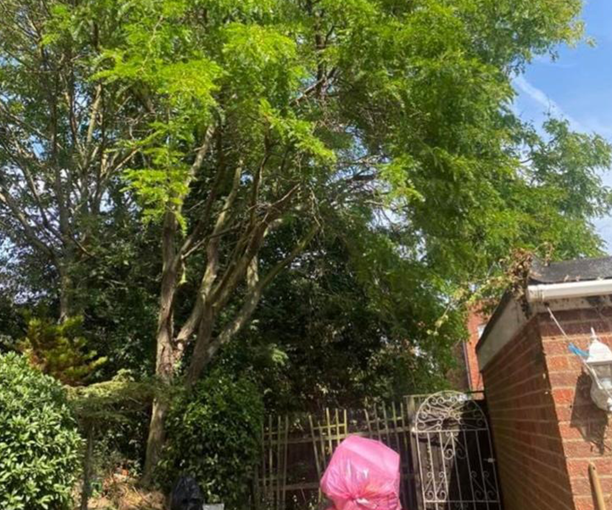 Mansons Tree Services Ltd