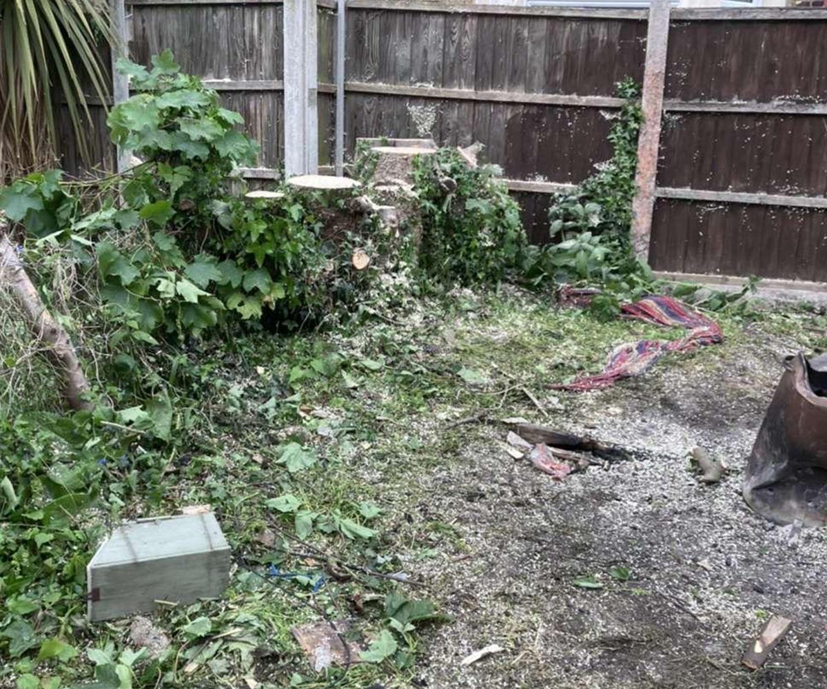 Mansons Tree Services Ltd
