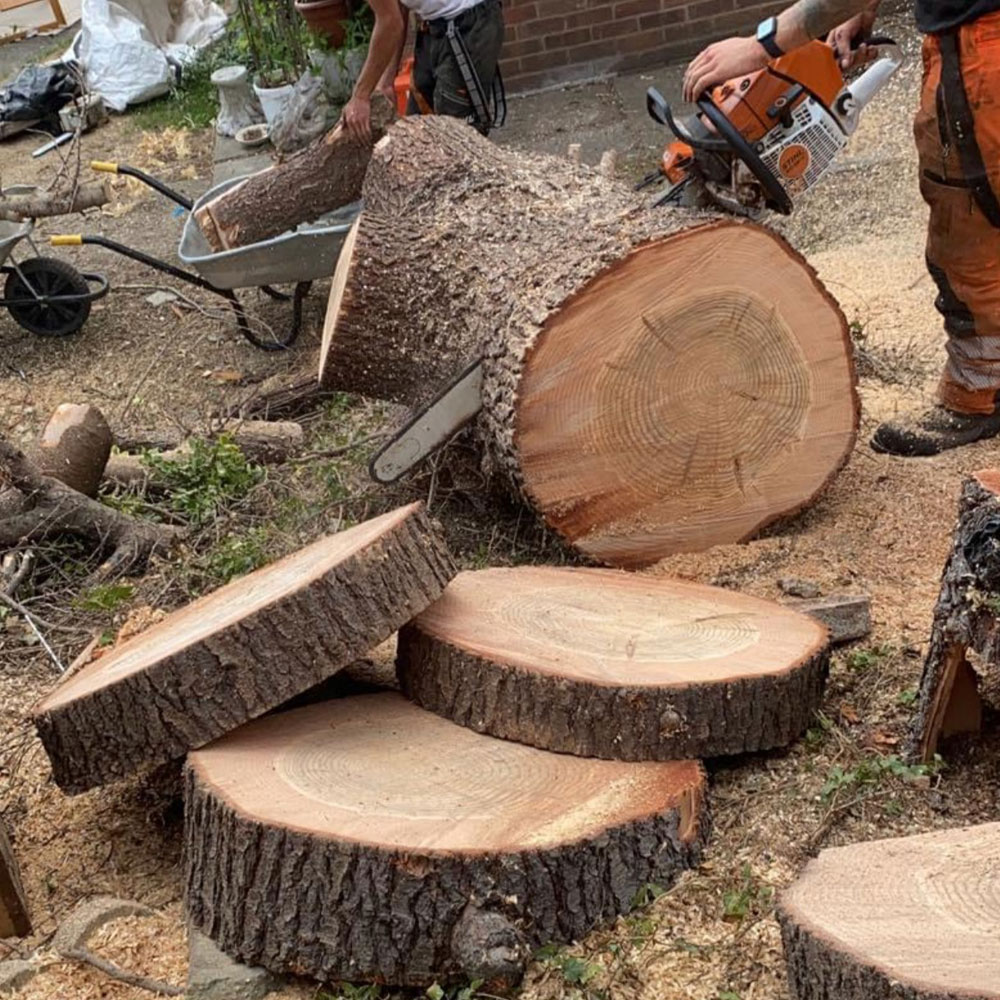 Mansons Tree Services Ltd