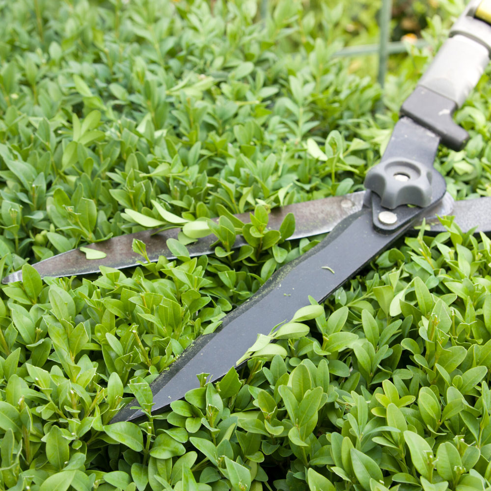 Mansons Tree Services Ltd