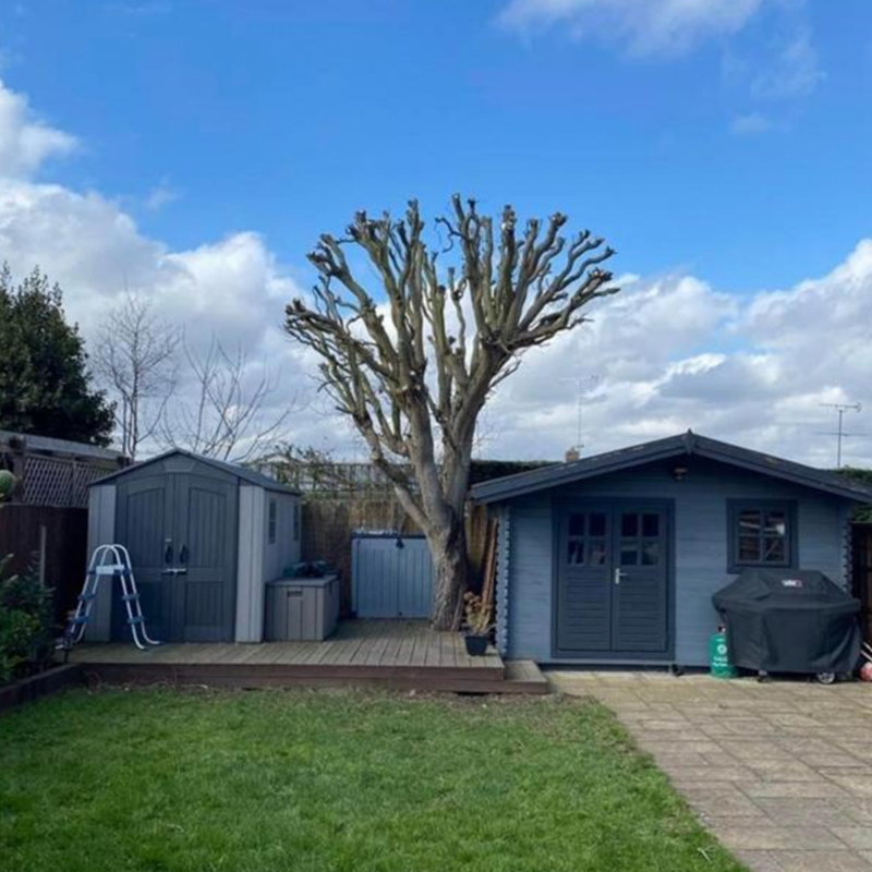 Mansons Tree Services Ltd