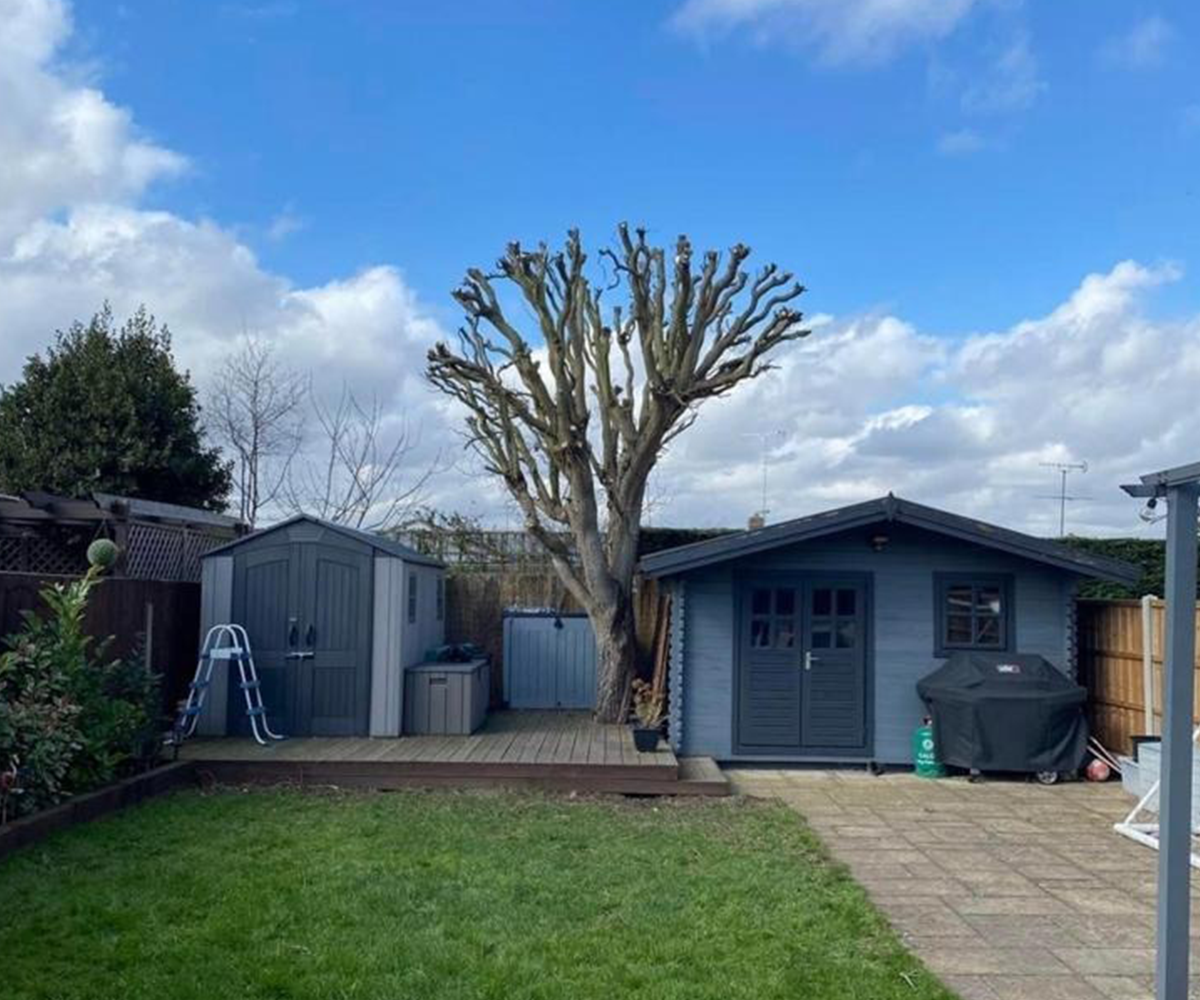 Mansons Tree Services Ltd
