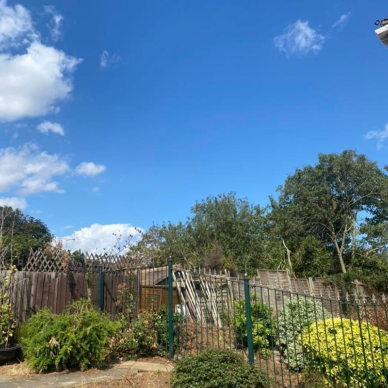 Mansons Tree Services Ltd