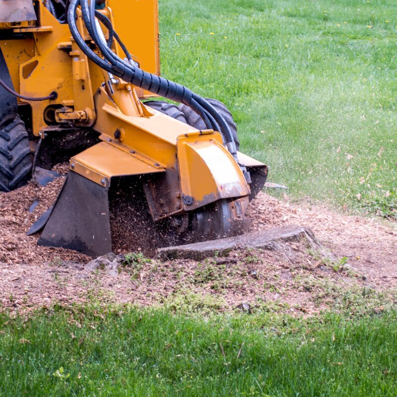 Mansons Tree Services Ltd