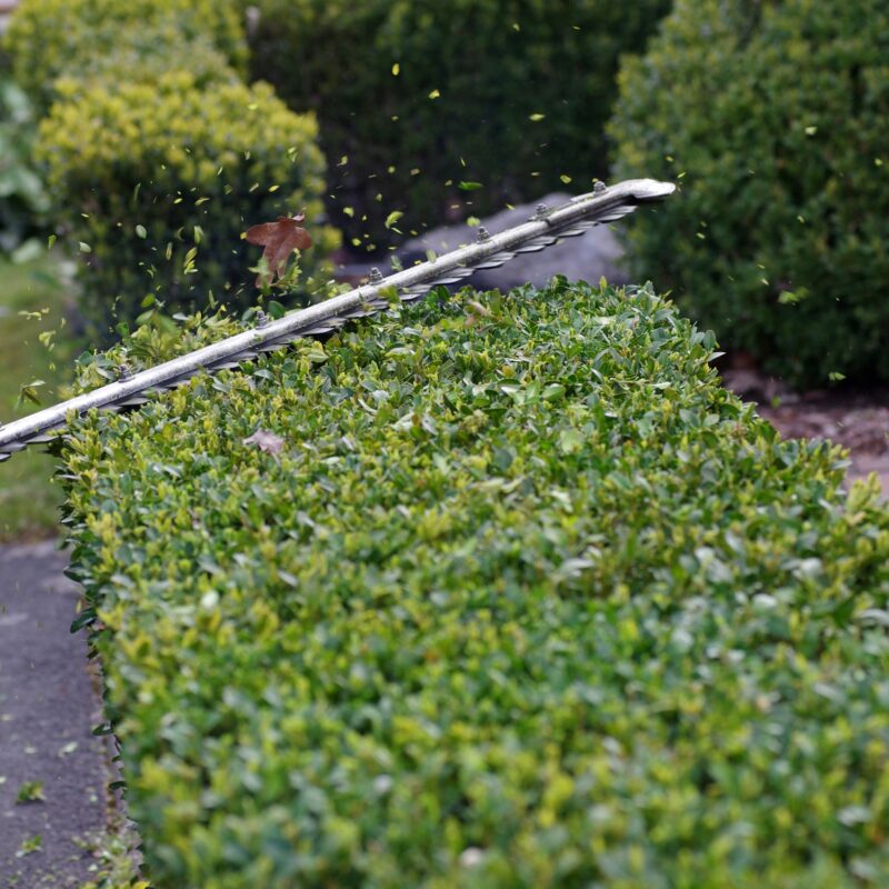 Mansons Tree Services Ltd