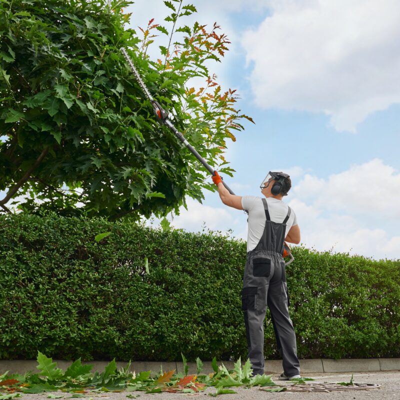 Mansons Tree Services Ltd