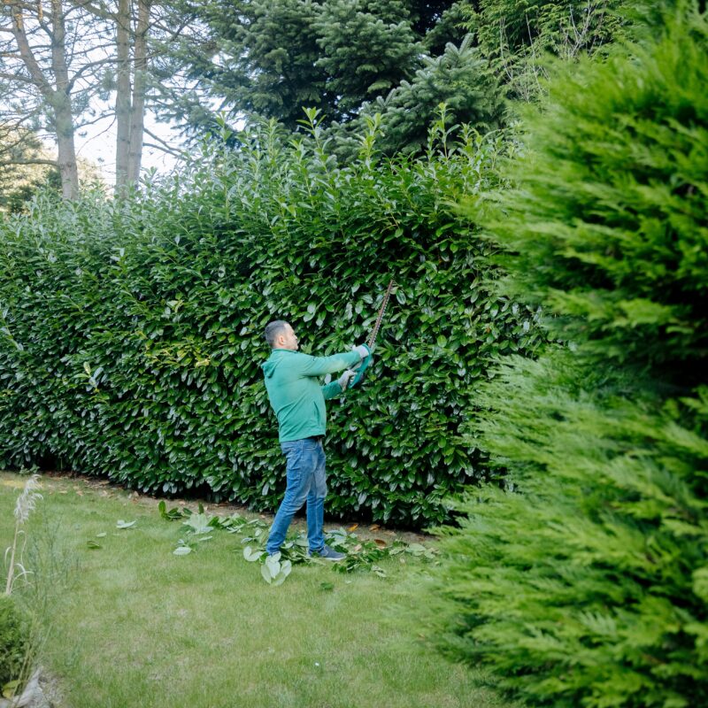 Mansons Tree Services Ltd