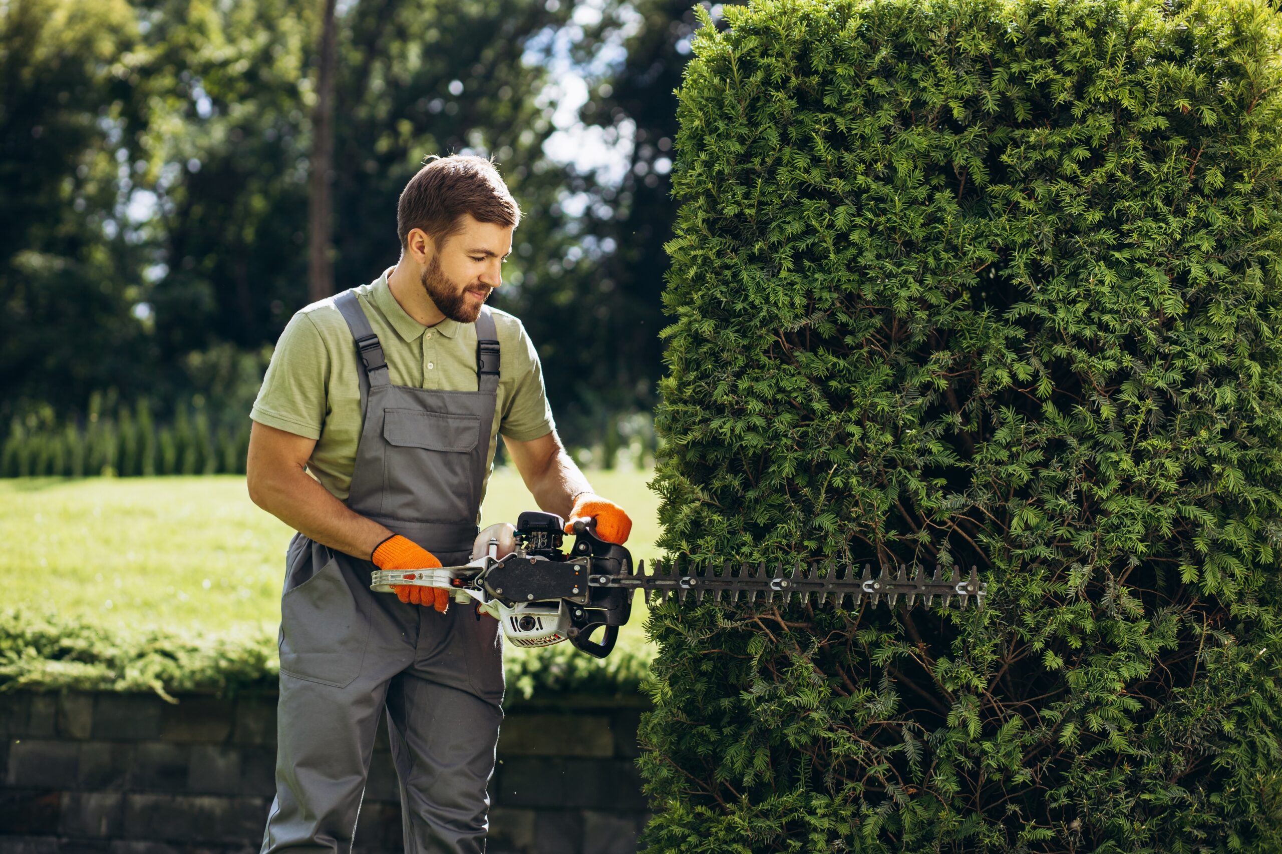 Mansons Tree Services Ltd