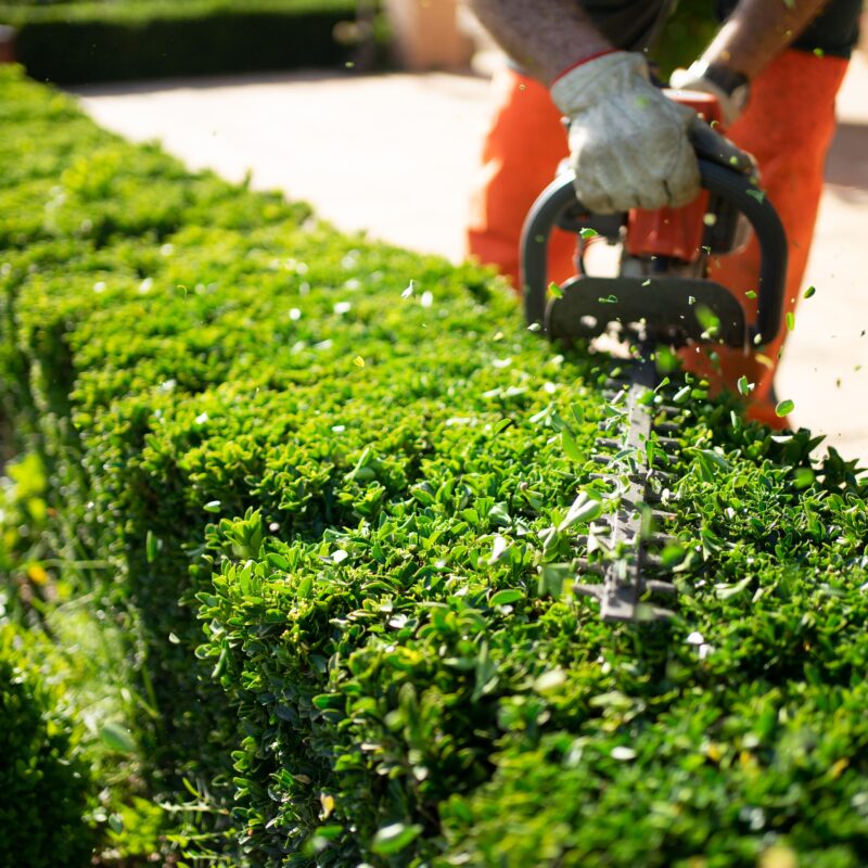 Mansons Tree Services Ltd