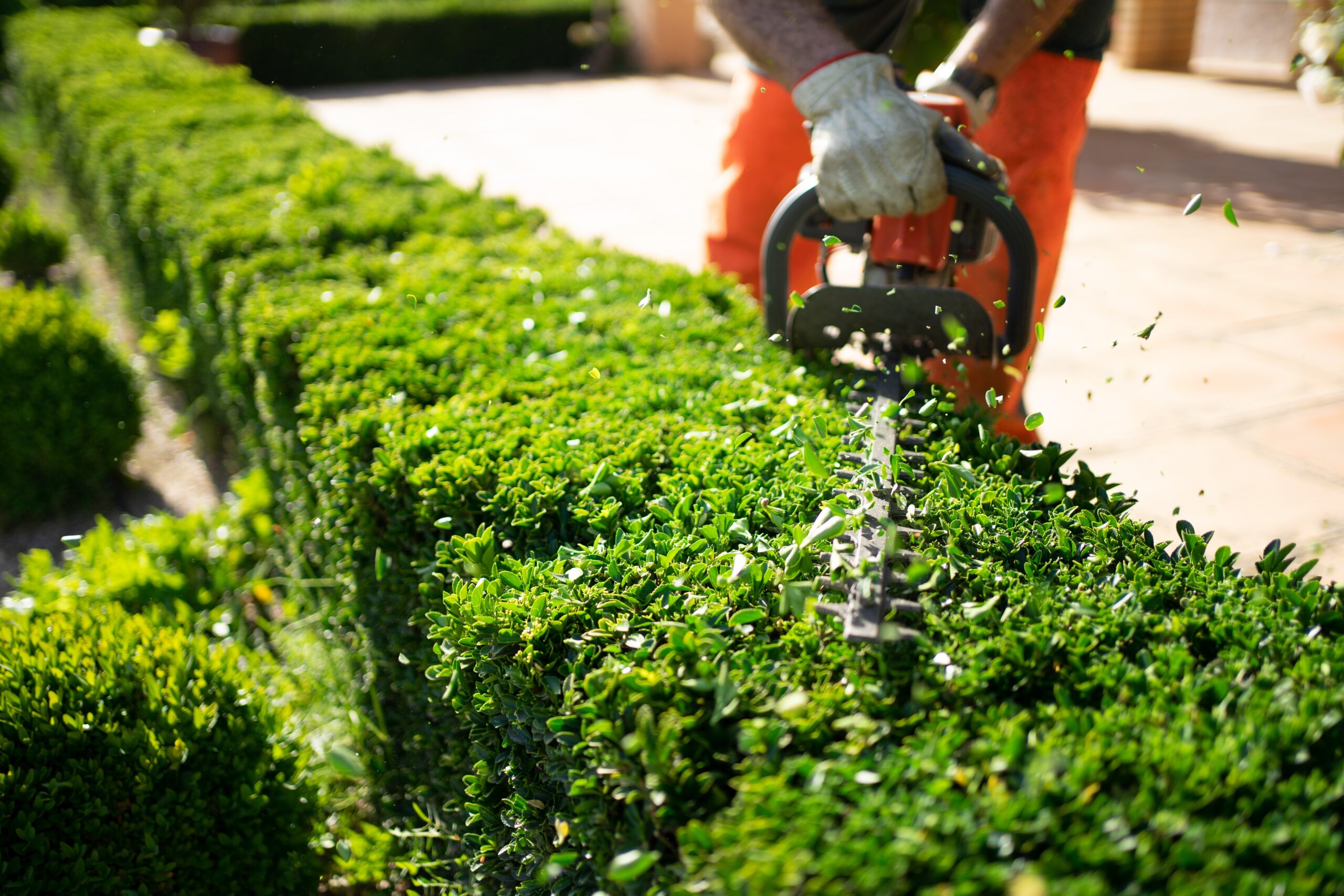 Mansons Tree Services Ltd