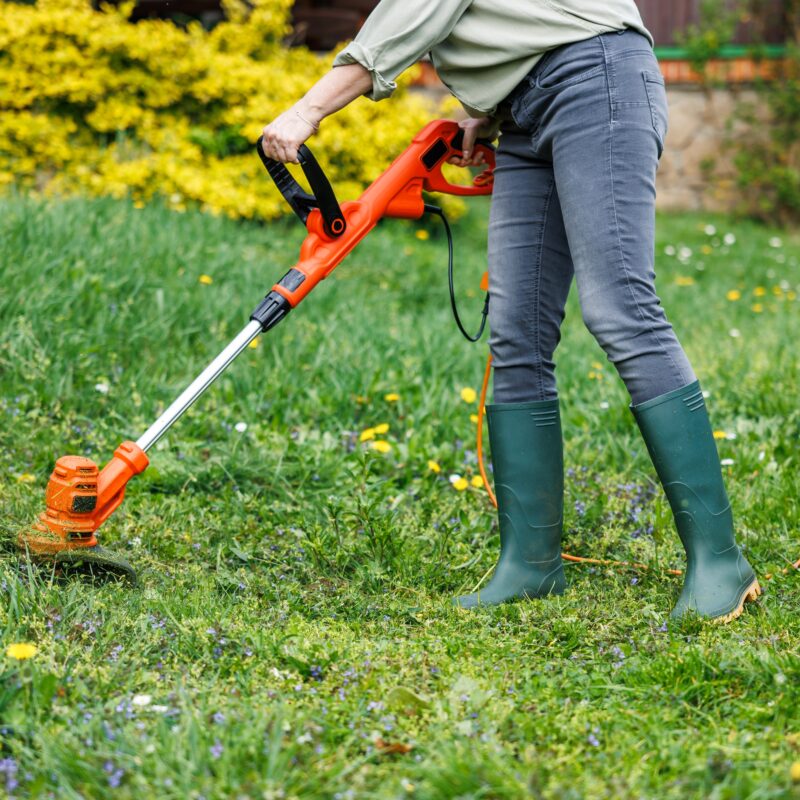 Mansons Tree Services Ltd