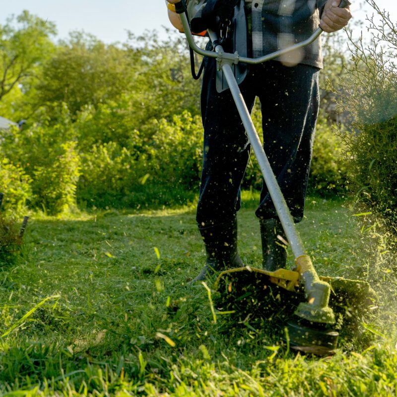 Mansons Tree Services Ltd