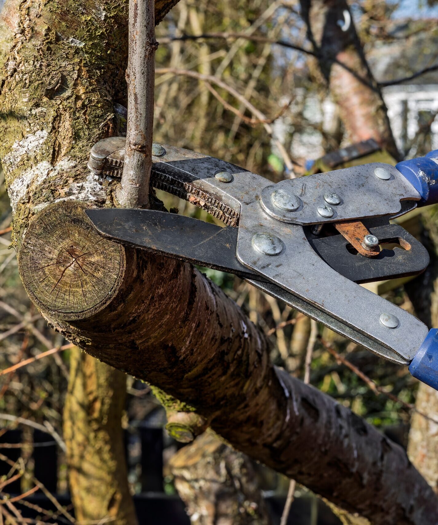 Mansons Tree Services Ltd